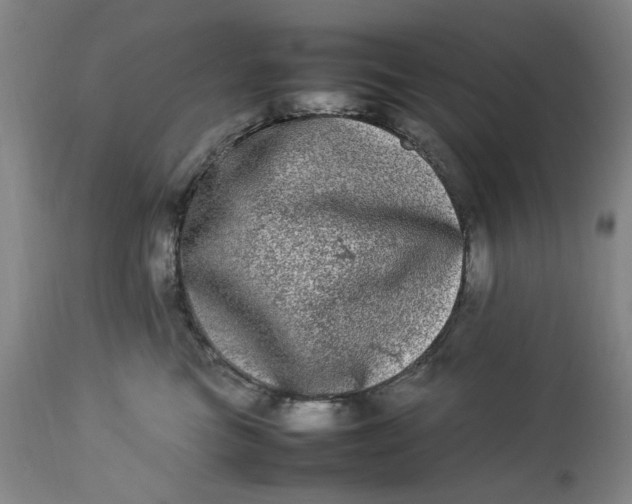 X0000112790473200909111216