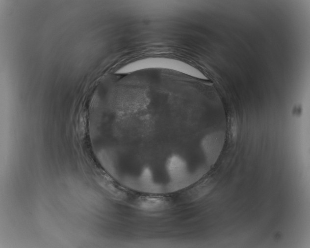 X0000112790475200909111216