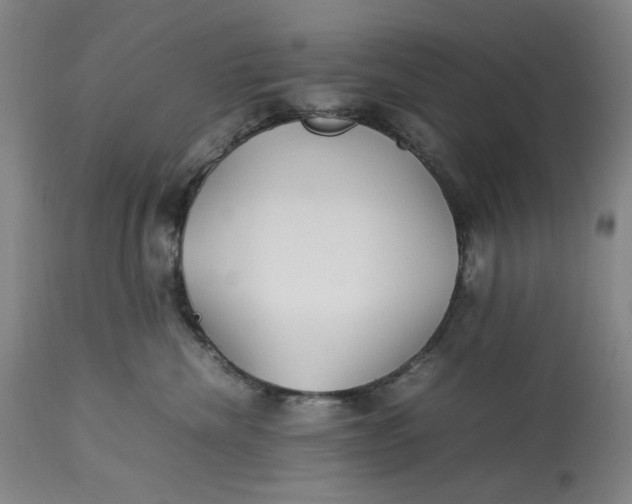 X0000112790476200909111216