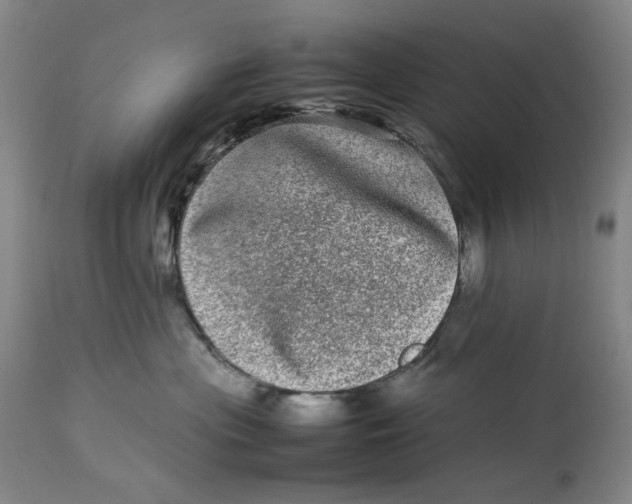 X0000112790477200909111216