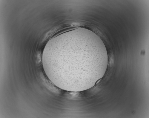 X0000112790478200909111216