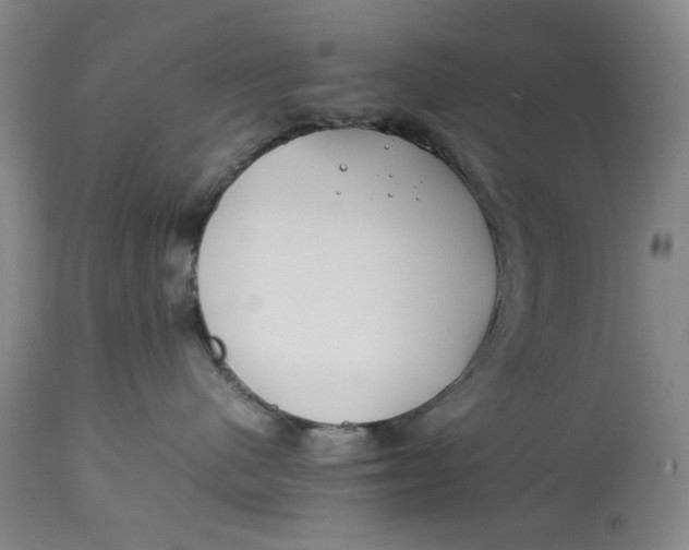 X0000112790480200909111216