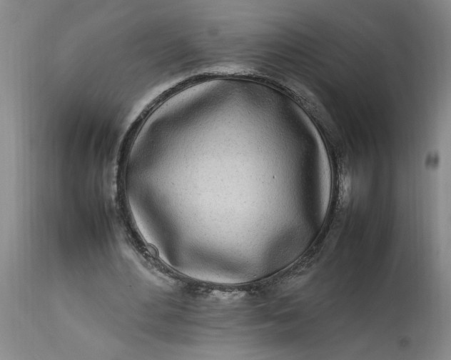 X0000112790484200909111216