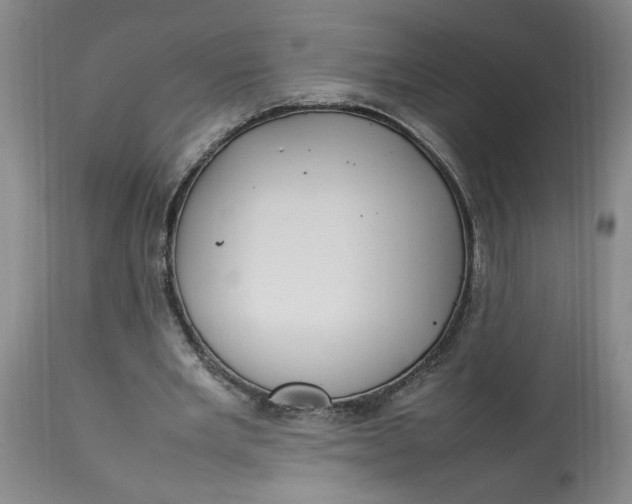 X0000112790485200909111216