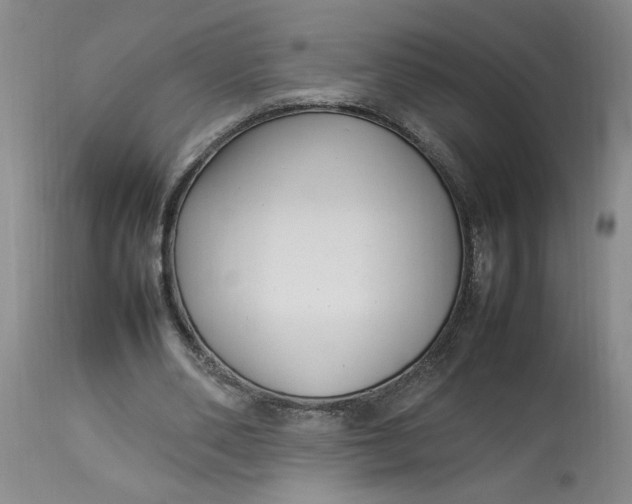 X0000112790486200909111216