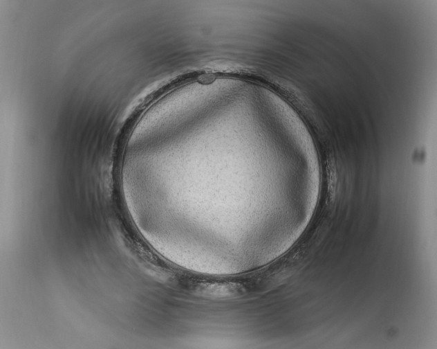 X0000112790488200909111216