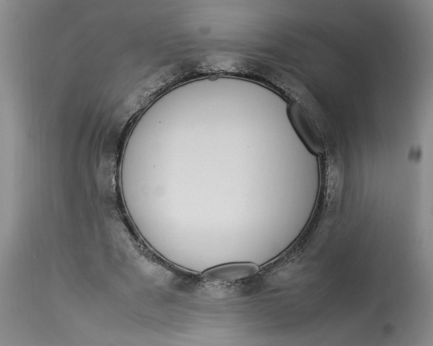 X0000112790489200909111216