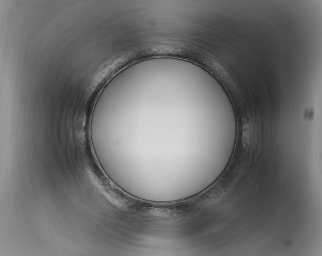 X0000112790490200909111216