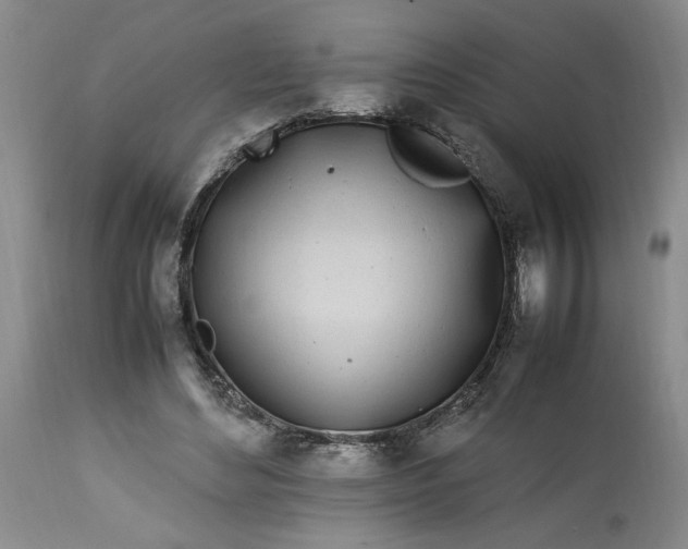 X0000112790492200909111215