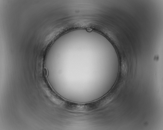 X0000112790493200909111215