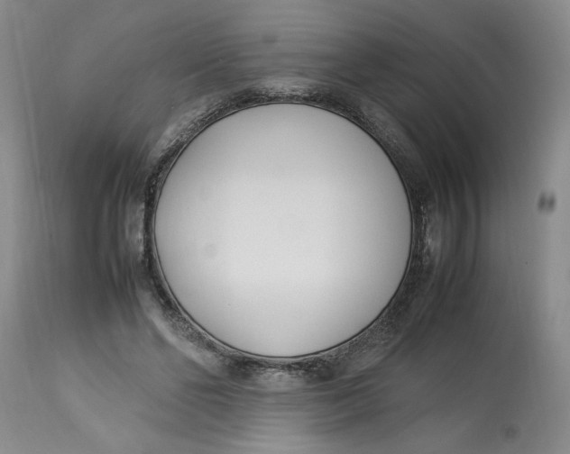 X0000112790494200909111215