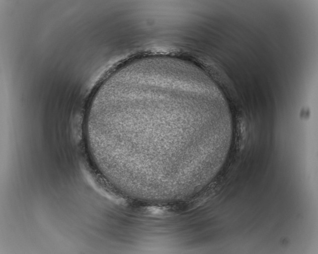 X0000112790496200909111215