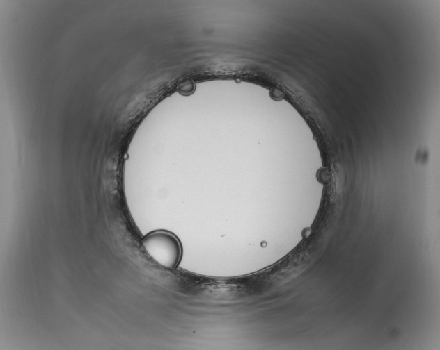 X0000112790497200909111215