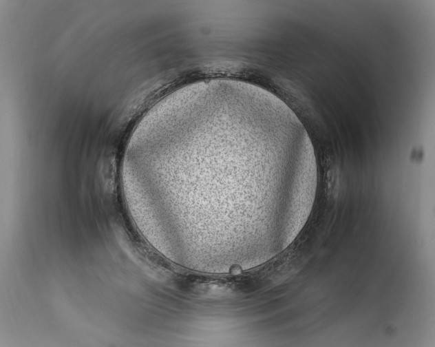 X0000112790498200909111215