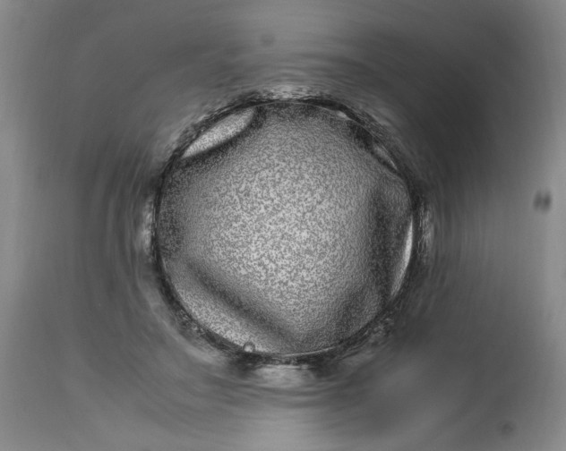 X0000112790499200909111215