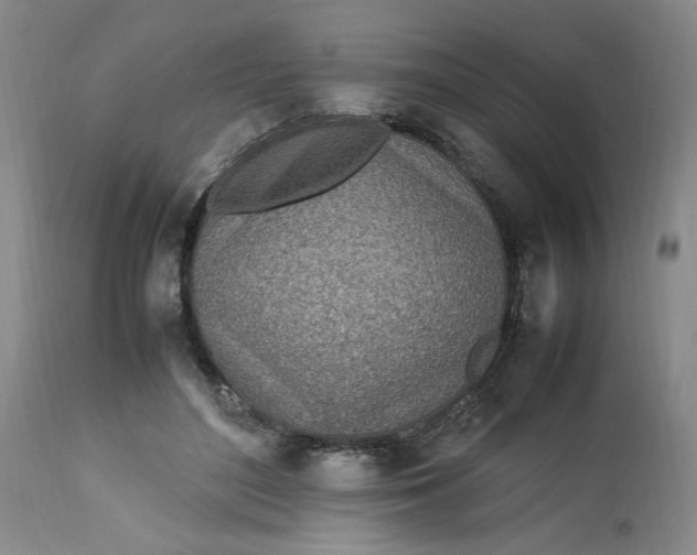 X0000112790500200909111215