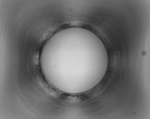 X0000112790502200909111215