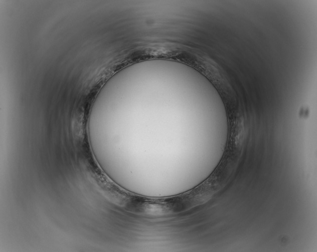 X0000112790510200909111215