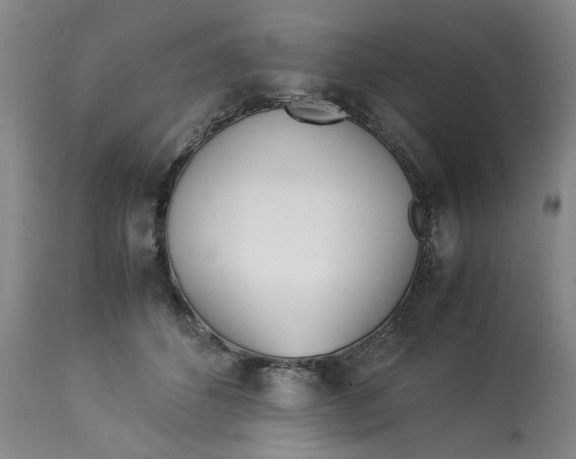 X0000112790512200909111215