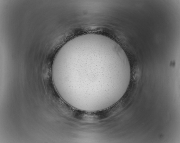 X0000112790515200909111215