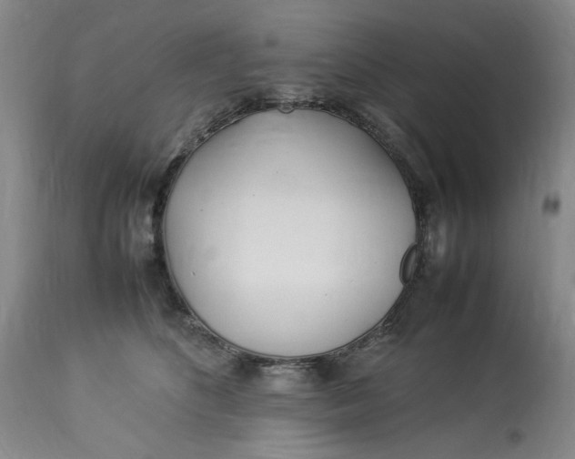 X0000112790516200909111215