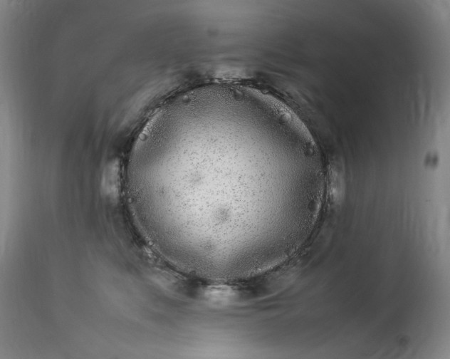 X0000112790519200909111215