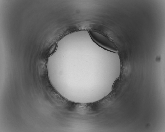 X0000112790521200909111215