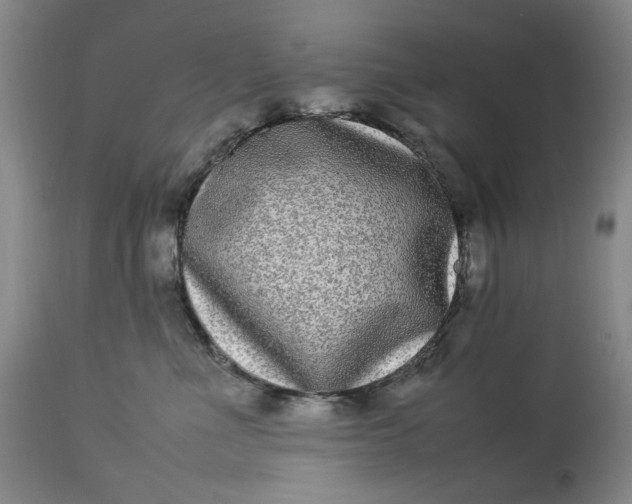 X0000112790523200909111215