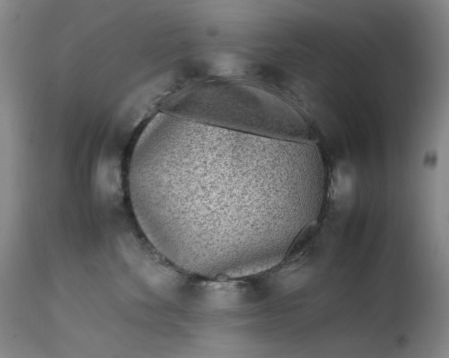 X0000112790524200909111215