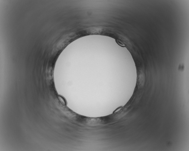 X0000112790525200909111215