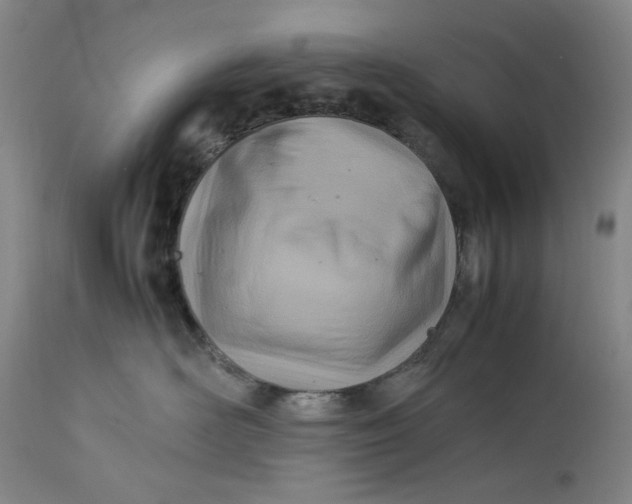 X0000112790526200909111215