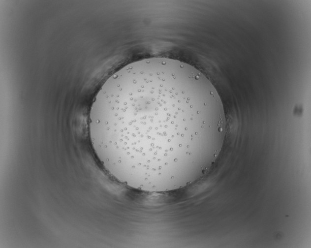 X0000112790527200909111215