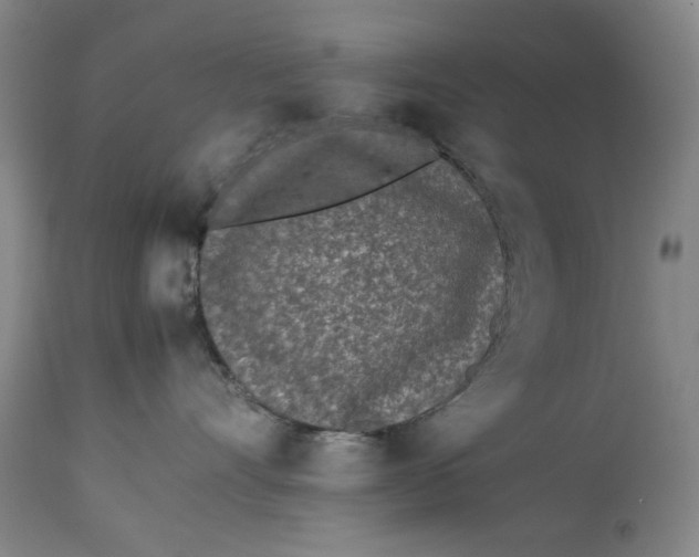 X0000112790528200909111215