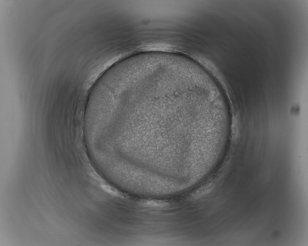 X0000112790529200909111214