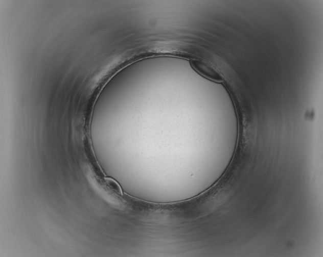 X0000112790530200909111214