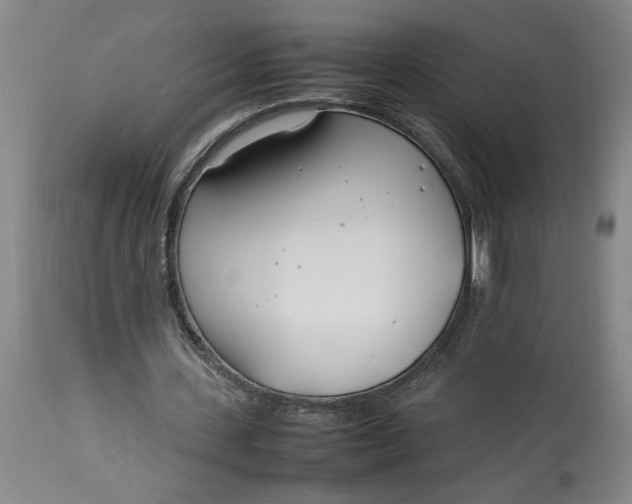 X0000112790531200909111214