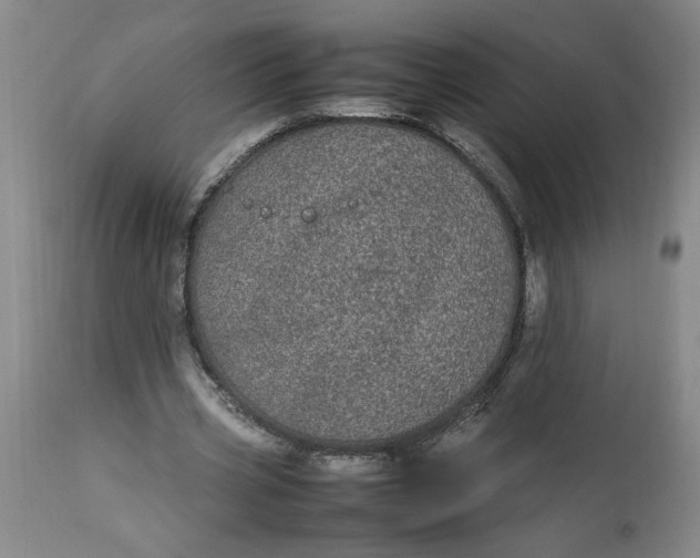 X0000112790533200909111214