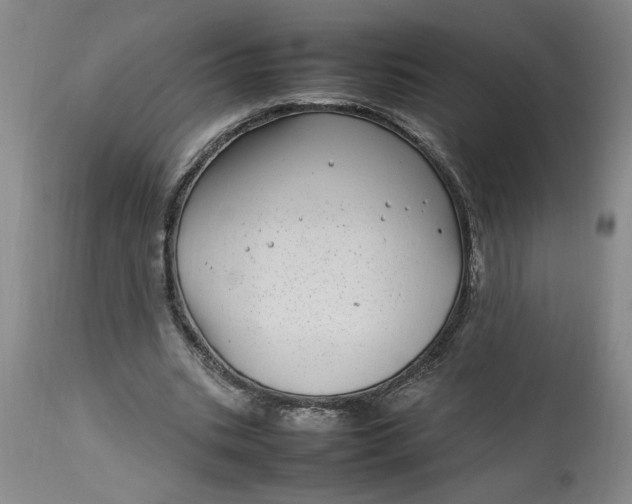 X0000112790535200909111214