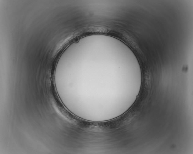 X0000112790538200909111214