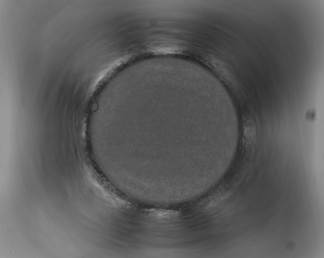 X0000112790539200909111214