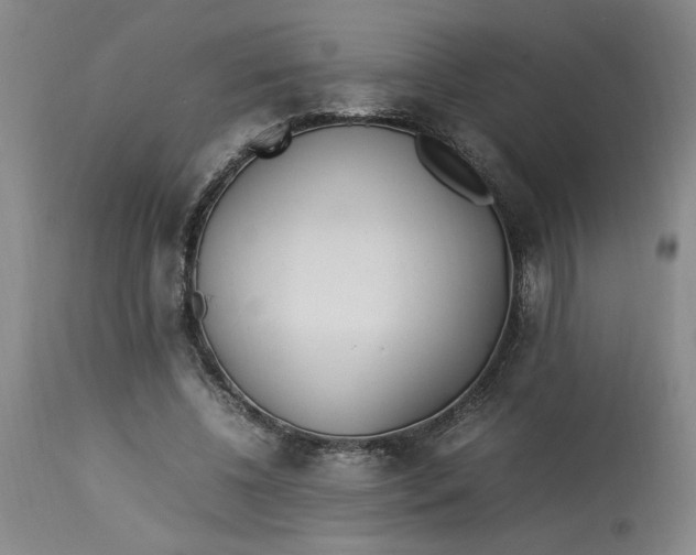 X0000112790540200909111214