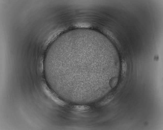 X0000112790541200909111214