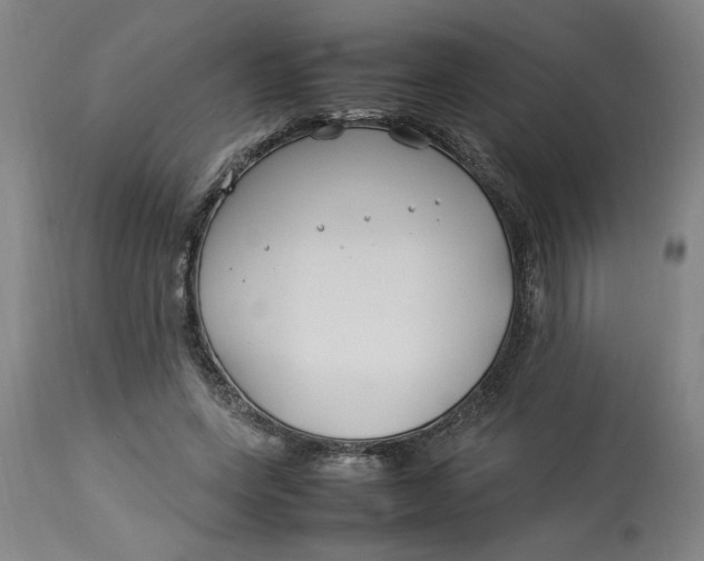 X0000112790543200909111215