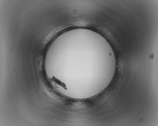 X0000112790544200909111215