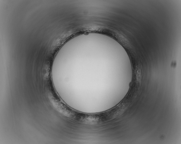 X0000112790546200909111215