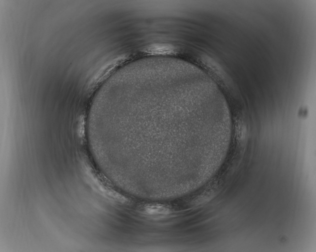 X0000112790549200909111215