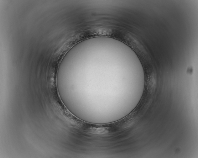 X0000112790553200909111215