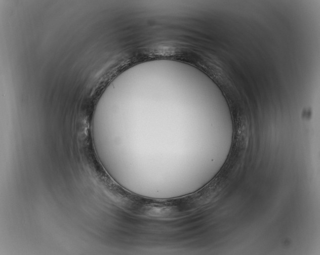 X0000112790555200909111215