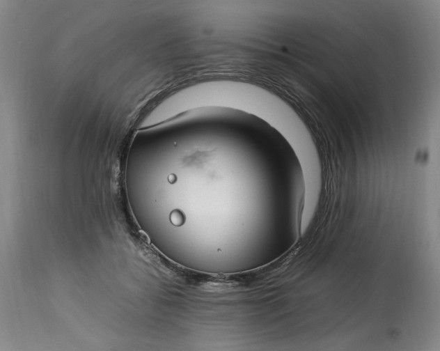 X0000112790556200909111215