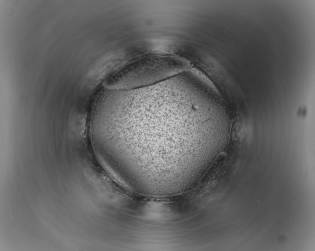 X0000112790560200909111215